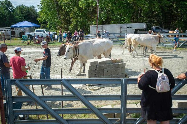 clinton fairgrounds seamans