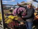 fairfield greenhouse leaming