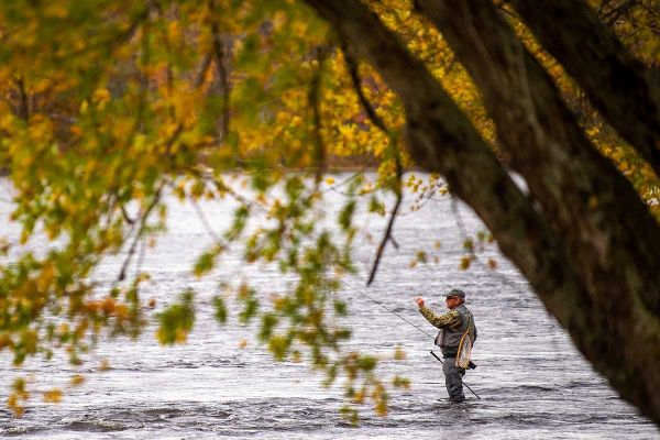 shawmut fishing seamans