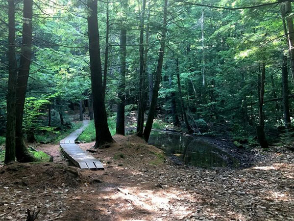 Inland Woods & Pine Ridge Trails